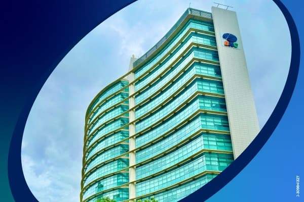BNC rompe el molde: lidera depósitos en divisas y sacude el P2P