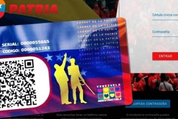 Bono de Responsabilidad Profesional: Bs. 145.350 que aterrizan en el P2P