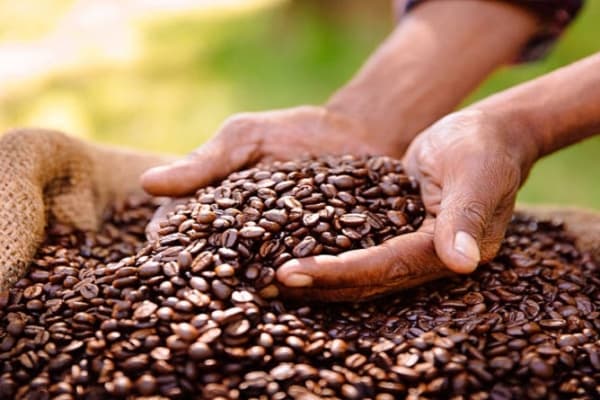 Café venezolano sube 10%: ¿qué tanto mueve al USDT y al P2P?