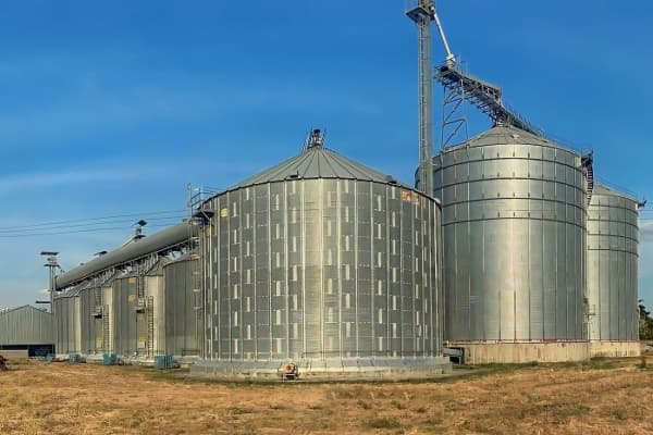 Cosecha 2026: ¿Qué hay detrás de los 2,5 millones de toneladas de cereales para el P2P y el dólar?