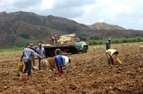 Drones vuelven al campo: agrotech, importaciones y pagos en USDT