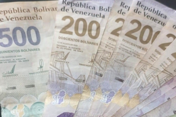 Bono de Responsabilidad Profesional: del Patria al P2P, así se dolariza el ingreso