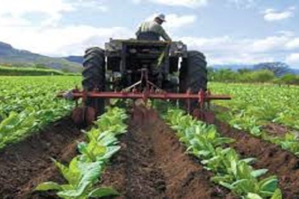 Gremios del agro reclaman inversión petrolera: el P2P y el dólar toman el relevo